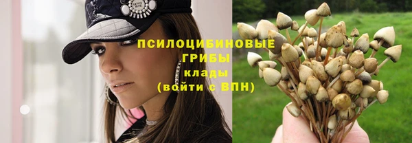 стафф Балабаново
