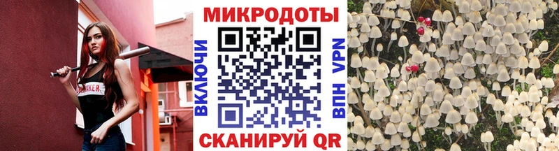 Галлюциногенные грибы Psilocybe  KRAKEN tor  Ладушкин 